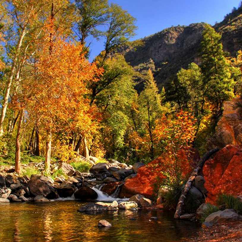 Sedona, Arizona Fall Colors